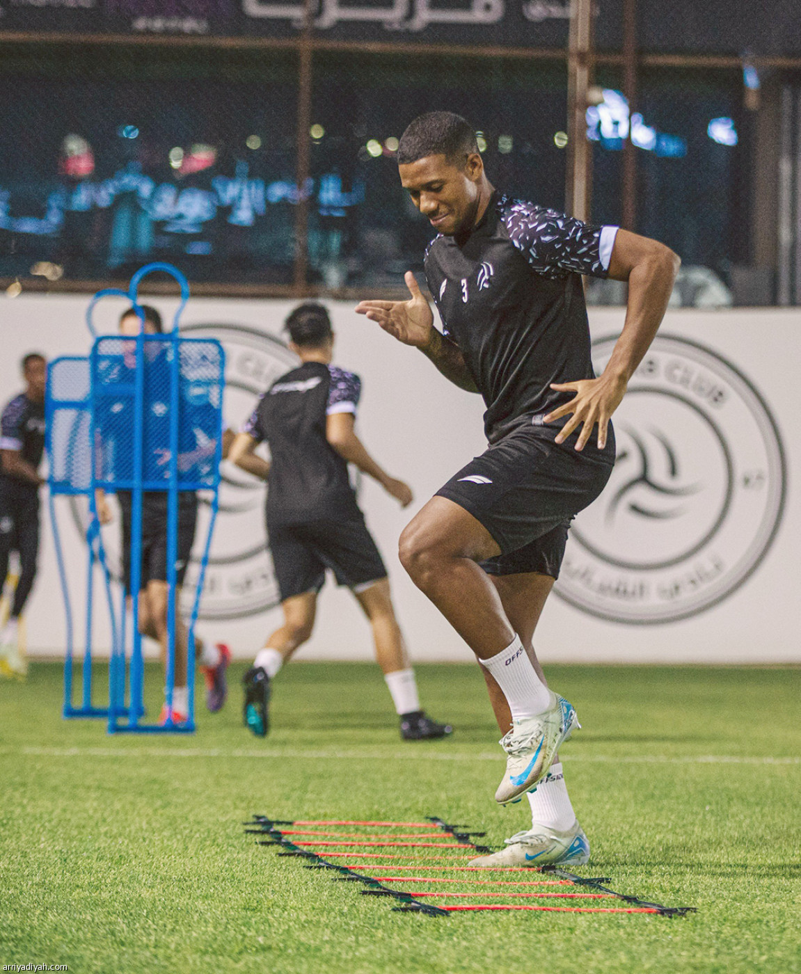 الليوث تستأنف