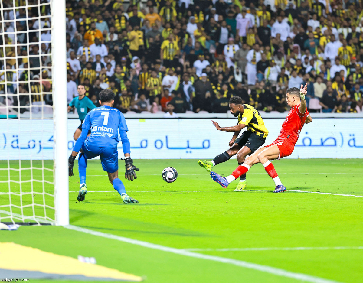 النمور تحلّق