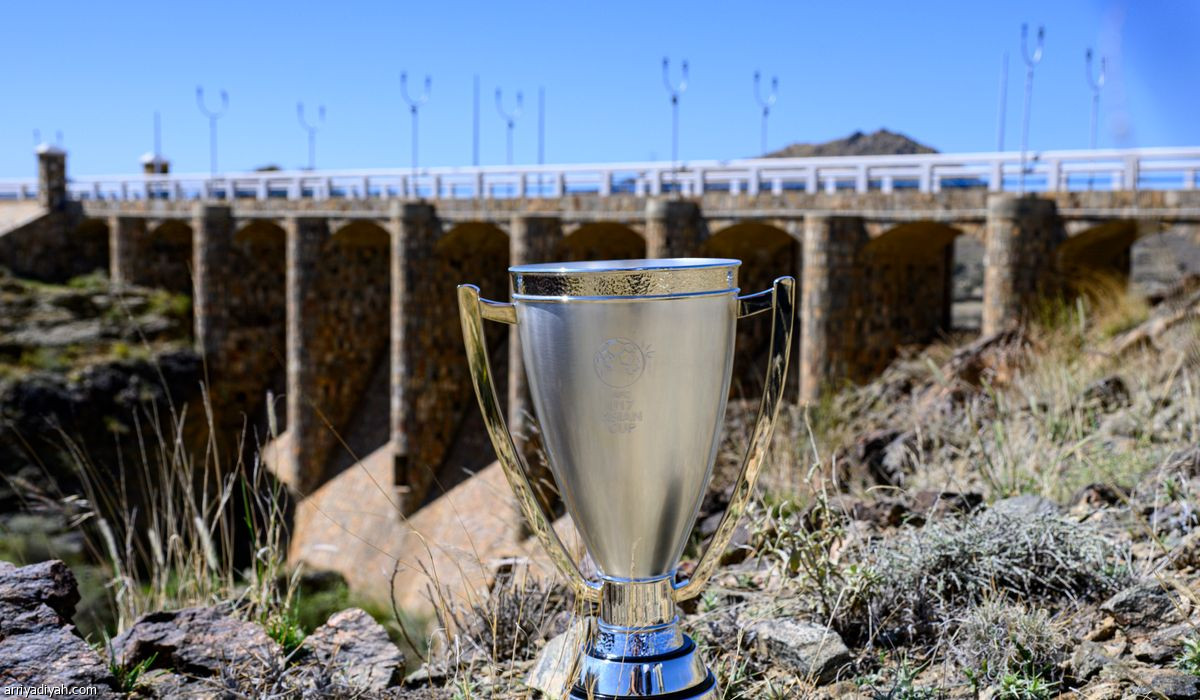 الكأس في «عروس المصايف»