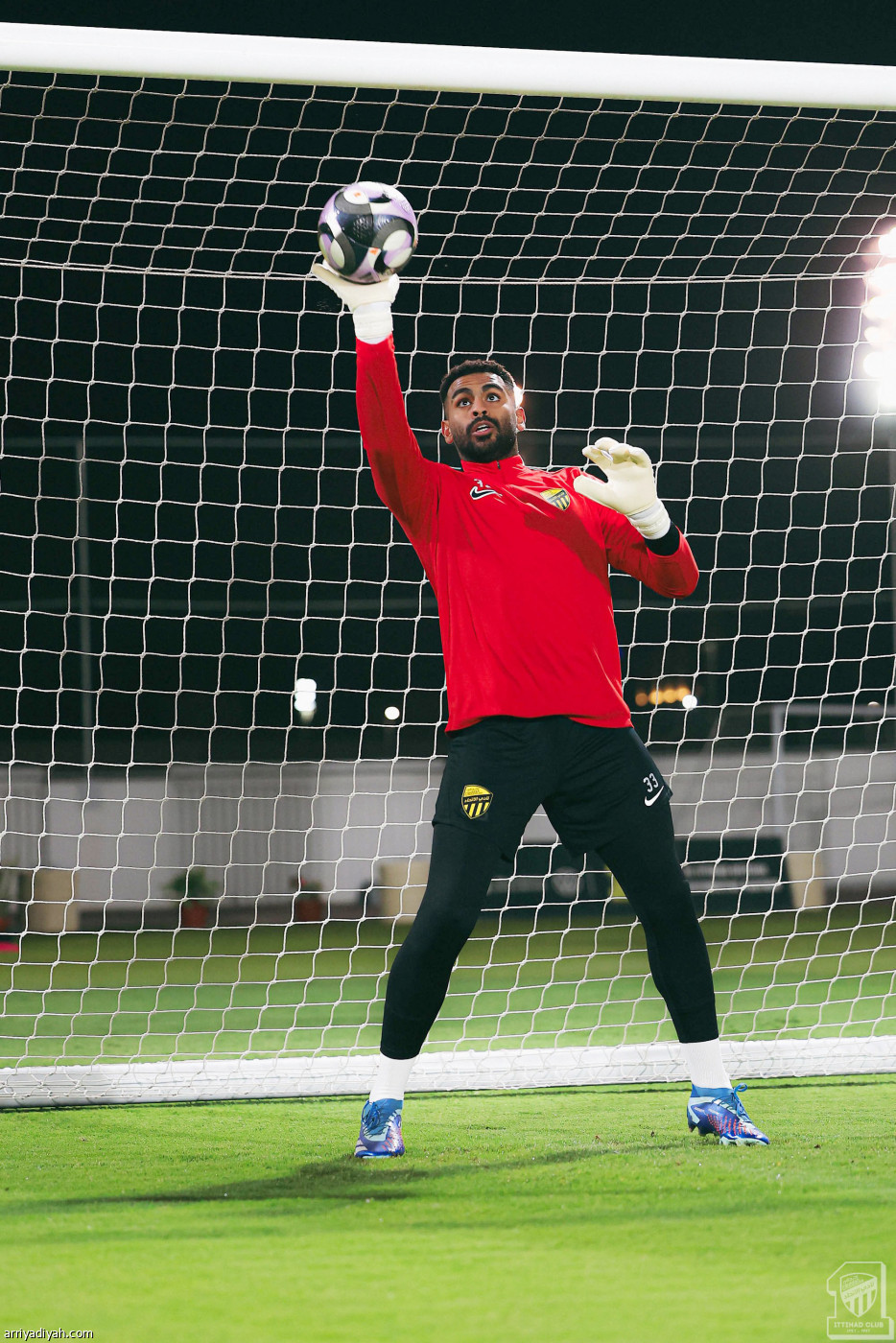 «النمور» جاهزون