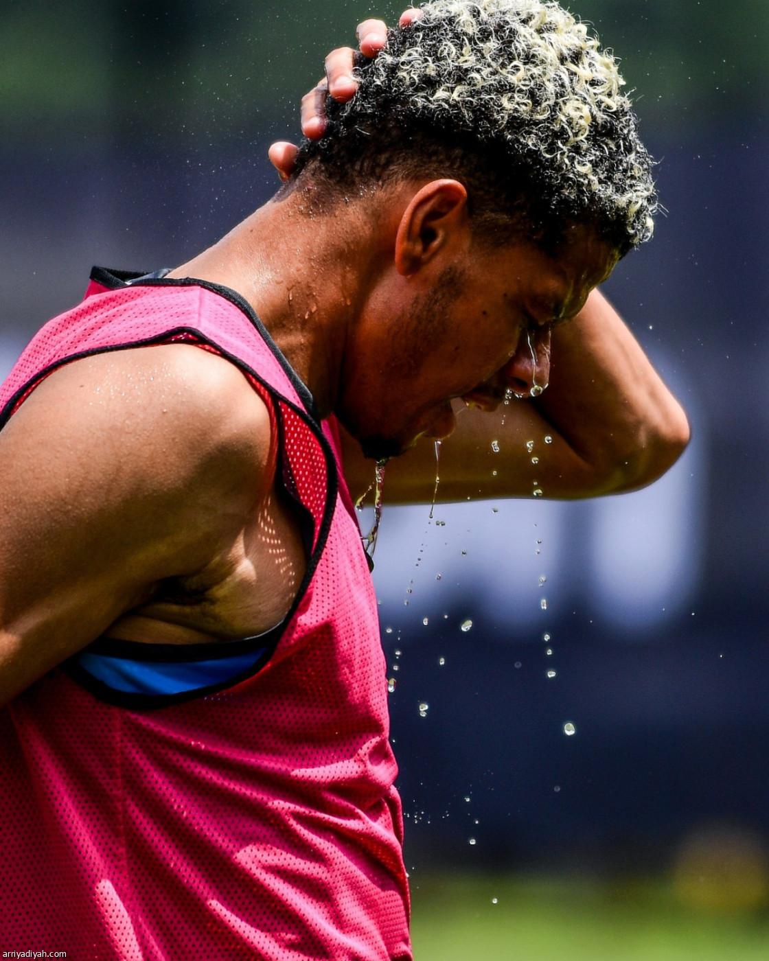 نيوكاسل.. نهاية الجولة