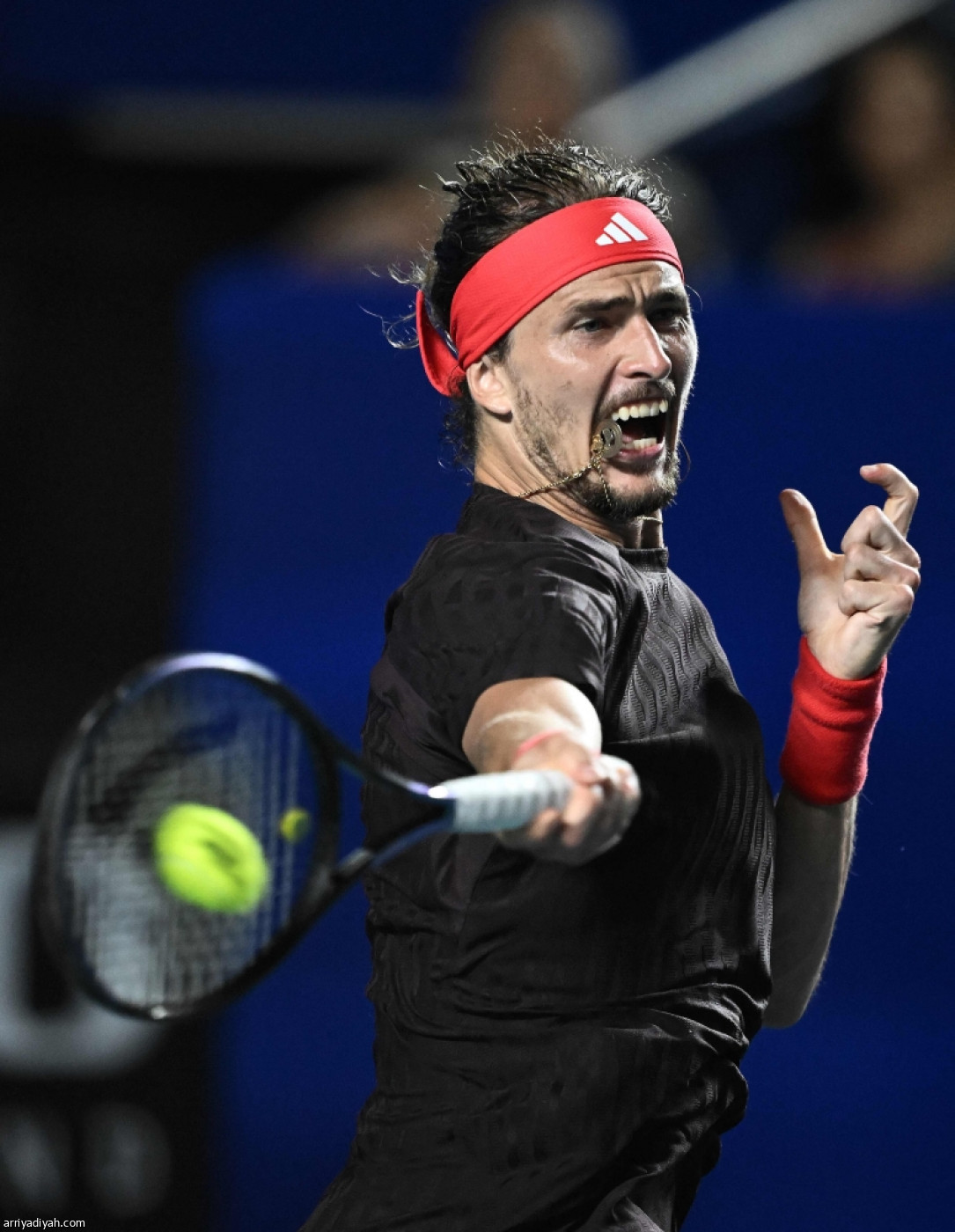 زفيريف ينطلق