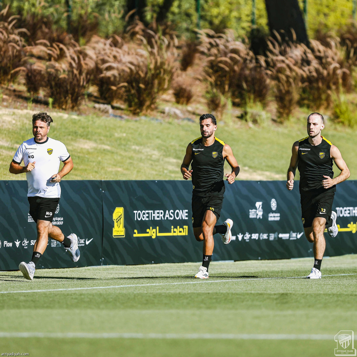 استنفار النمور