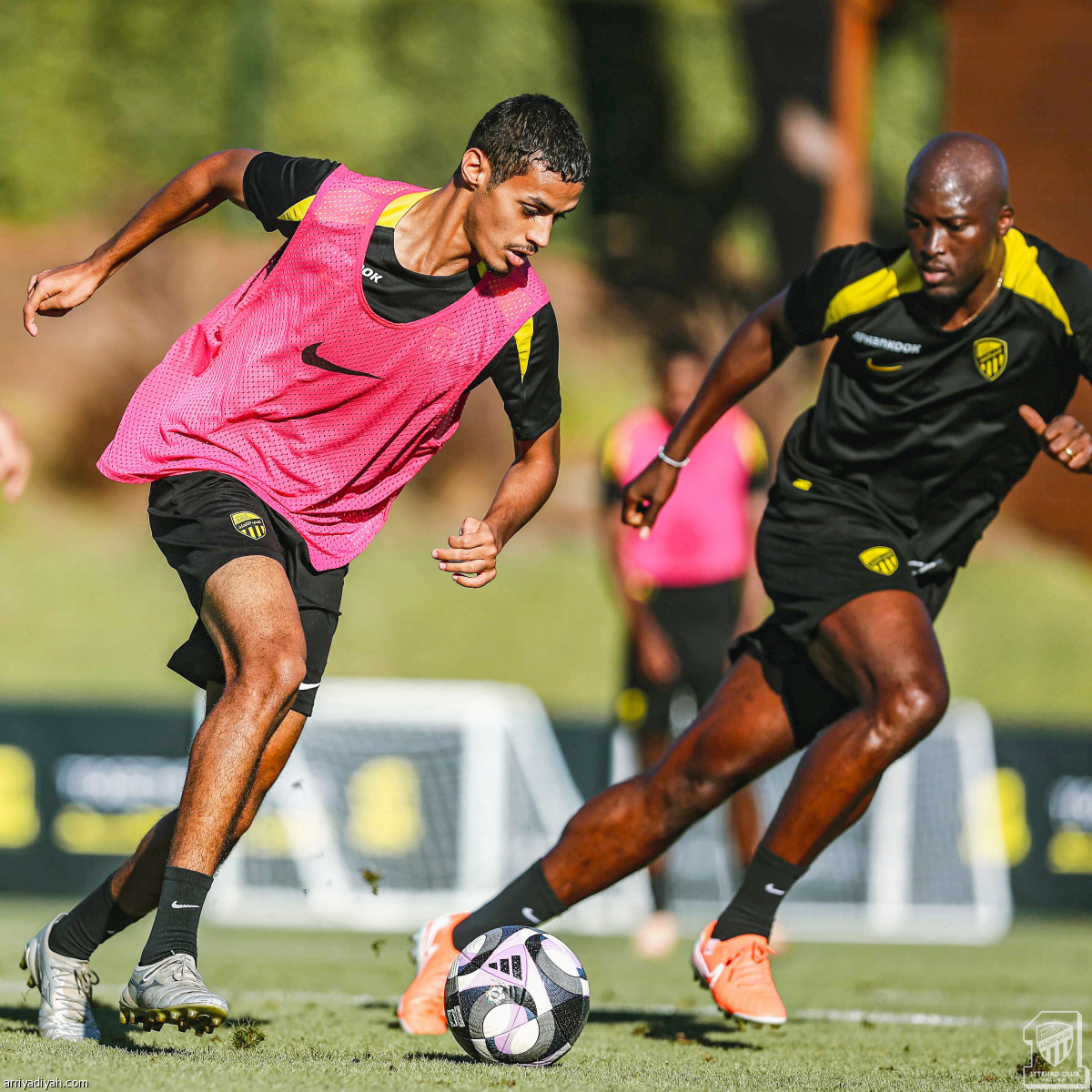 استنفار النمور