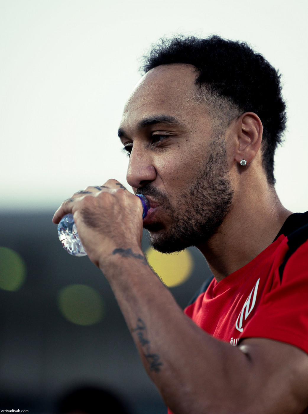 القادسية.. تحضيرات مكثفة