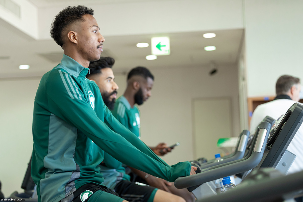 إطلالة الصقور